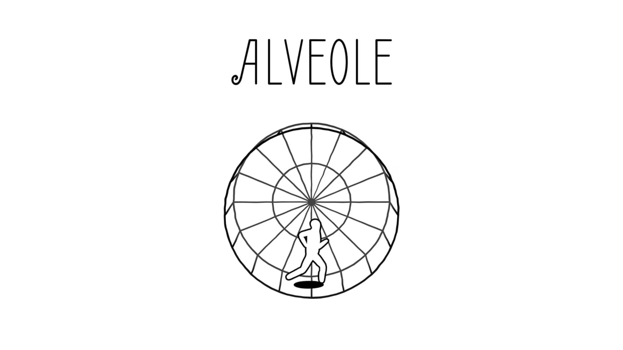 Alveole