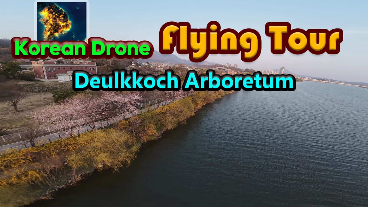 韩国无人机飞行游览野花树木园 Korean Drone Flying Tour Deulkkoch Arboretum