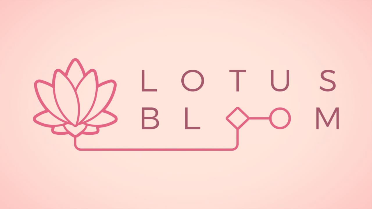 莲花绽放Lotus Bloom