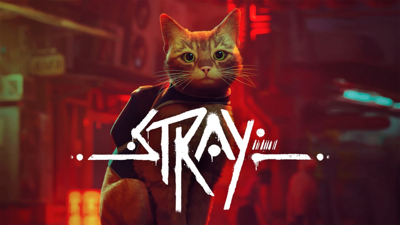 流浪猫 Stray